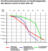 Zoom: warum_die_siliziumkonzentration_im_hautgewebe_abnimmt_.png