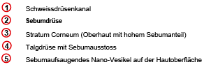 legende_nano-vesikel.png