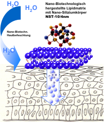 nano-biotechnologie_bild.png