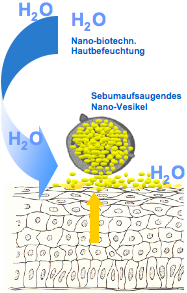 Zoom: sebocare-nano-vesikel.png