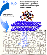 Zoom: nano-biologische_pflegewirkung_auf_die_haut_.png