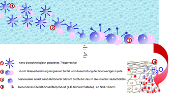 bild_4.png bild_4.png