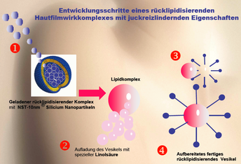 bild_1.png bild_1.png